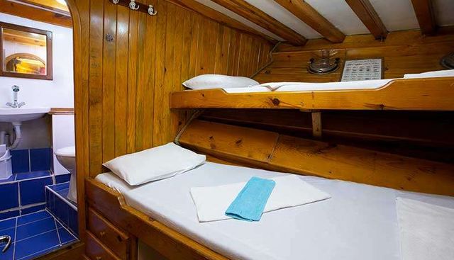 ARTEMIS yacht charter 5