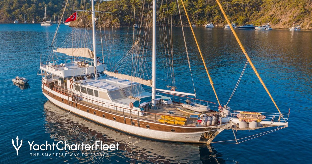 WHITE SWAN yacht charter 2