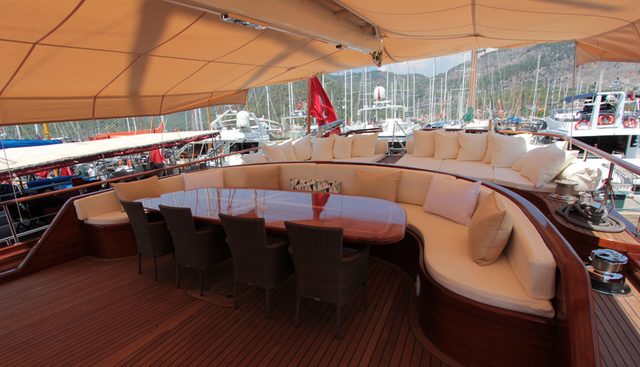CARPE DIEM V yacht charter 5