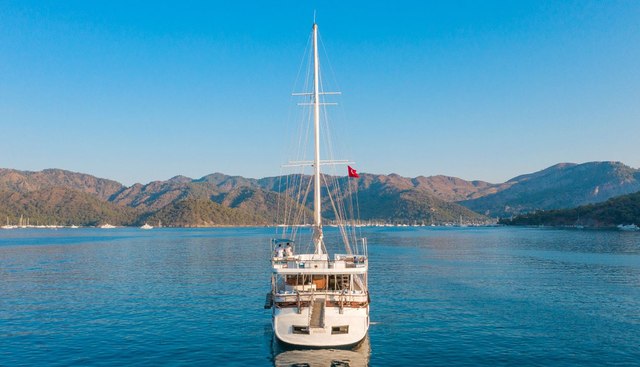 WHITE SWAN yacht charter 5