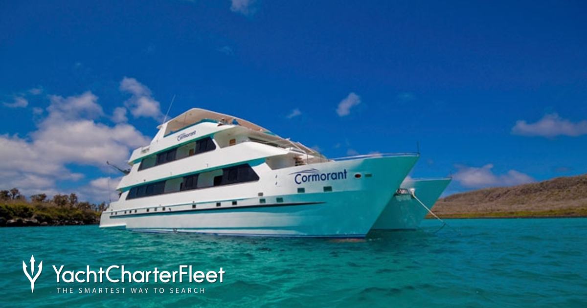 CORMORANT YACHT CHARTER yacht charter