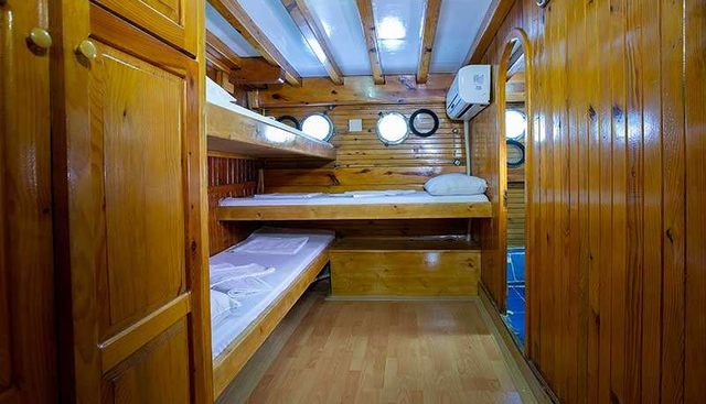 ARTEMIS yacht charter 5
