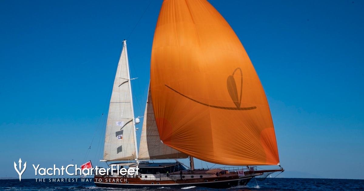 DRAGONFLY yacht charter 2