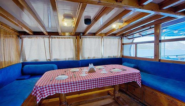 ARTEMIS yacht charter 4