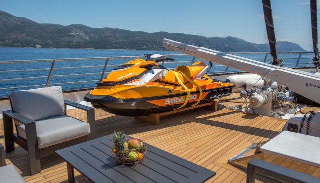 RARA AVIS yacht charter 5