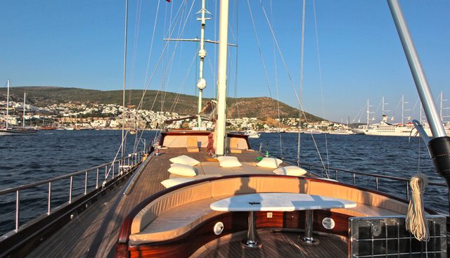 CARPE DIEM V yacht charter 3