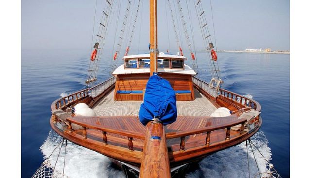 BAHRIYELI D yacht charter 3