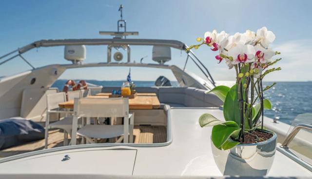 ALFA yacht charter 4