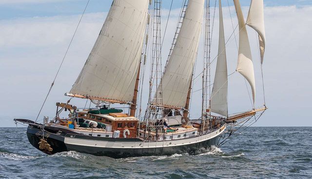 TREE OF LIFE yacht charter 5