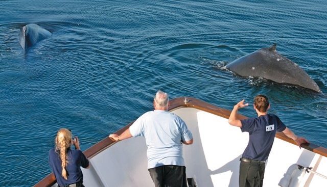 SAFARI EXPLORER yacht charter 2