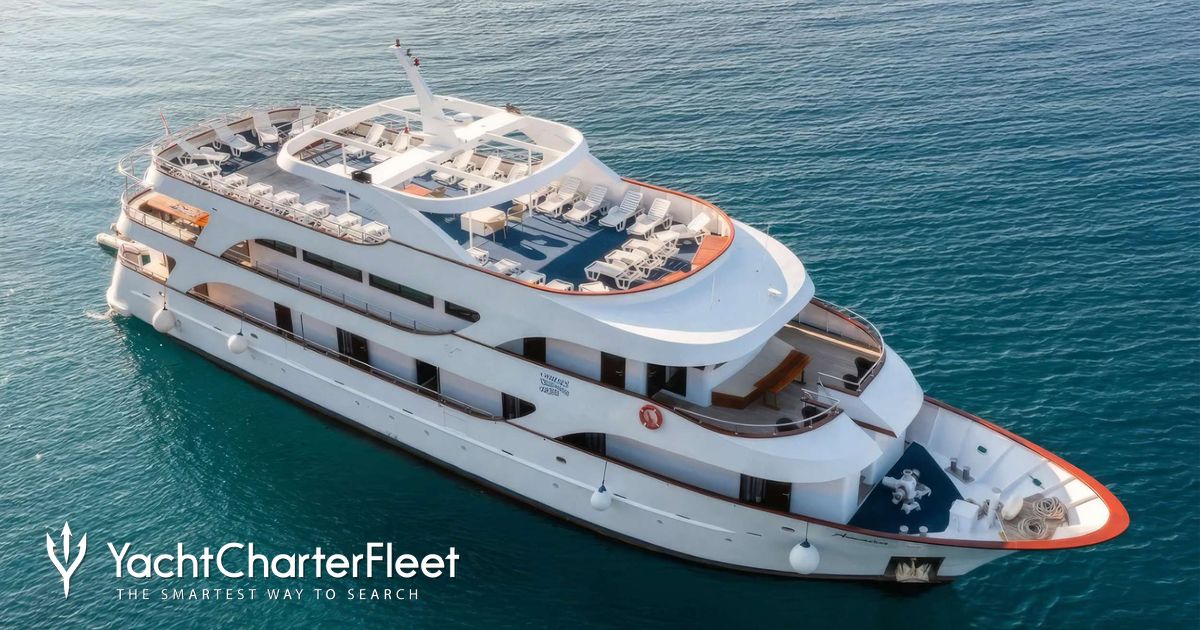 AMALIA yacht charter 2