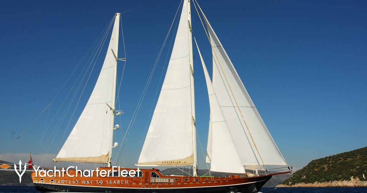 CARPE DIEM V yacht charter 2
