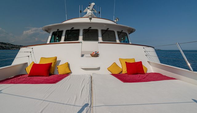 SEA LION yacht charter 3
