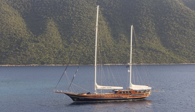 COBRA KING yacht charter 5