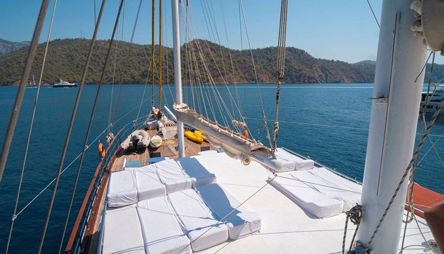 WHITE SWAN yacht charter 4