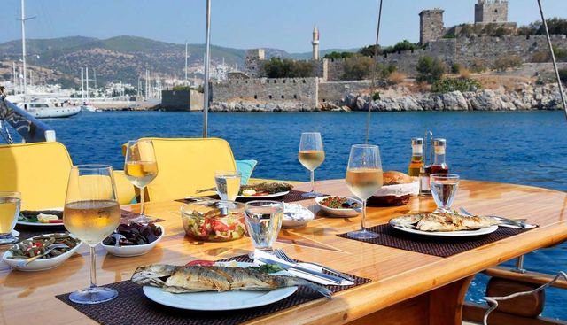 PARSS yacht charter 5