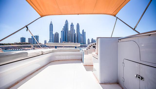 RAFIA yacht charter 5